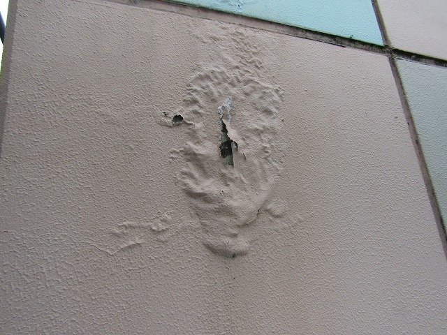 外壁に塗膜が爆裂した跡がありました。屋上から雨漏りが起きたと思われます。